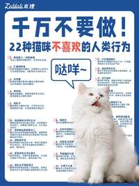 这22件事猫真的超讨厌，你可能每天都在无意识踩雷
