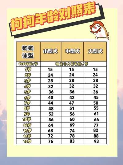 狗年龄换算百科：7岁的狗竟然不是49岁新换算公式让你重新认识狗龄