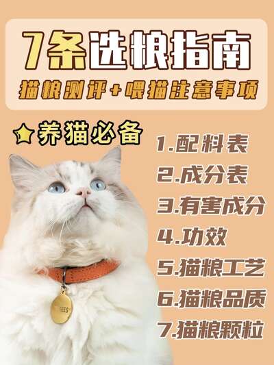 猫粮选购终极指南：从配料表到工艺全解析
