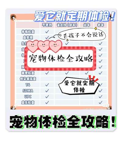 宠物体检全攻略：猫狗不会说话但体检能替它们喊