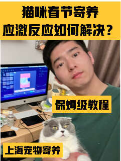 猫咪应激反应全解析：五种表现与寄养搬家解决方案