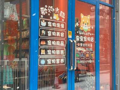 宠物洗护美容店里的一天：从业者的真实日常与避坑建议