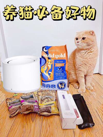 猫咪饮水机选购与宠物用品年度好物清单