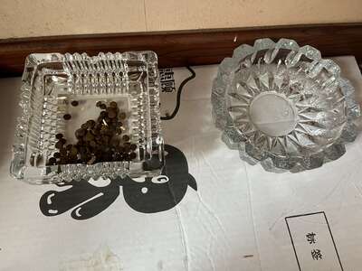 猫碗选购指南：陶瓷优于塑料，5要点挑到好碗