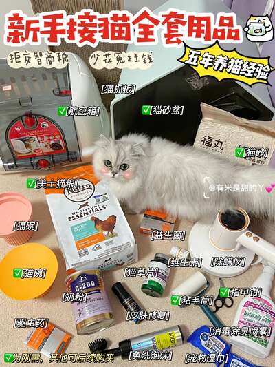 新手接猫用品清单：猫粮猫砂猫碗航空箱不踩雷推荐