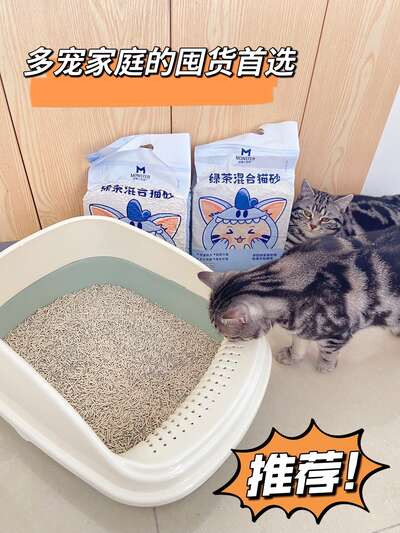 多宠家庭猫砂推荐｜5款混合猫砂对比实测