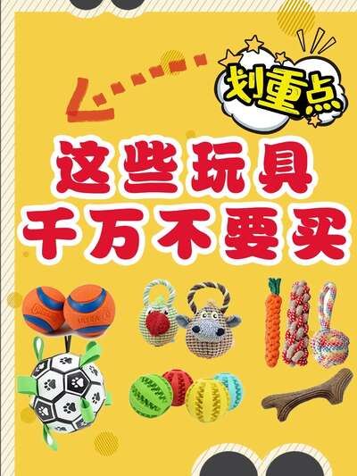 狗狗玩具千万别乱买！五种类型玩具的选购指南与安全红线