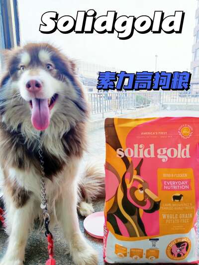 养狗家庭的日常好物清单：从主食到理发工具的省钱选购全攻略