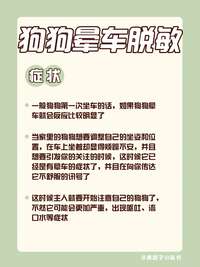 带狗回家过年？晕车脱敏训练四步法提前准备