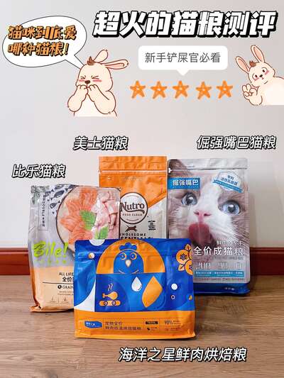 猫粮换粮与测评实操：超火五款猫粮成分拆解与科学换粮过渡全流程