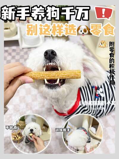 新手养狗千万别图便宜买零食！附正确选零食的方法和喂食技巧
