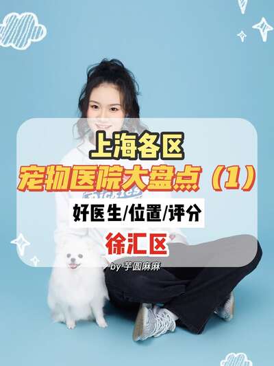 宠物医院选择指南：5步帮你找到靠谱好医院不踩坑