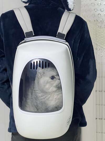 猫咪出行猫包选购指南：太空舱猫包到底好不好用？实测分享
