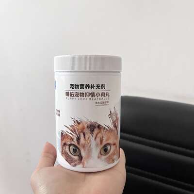 猫半夜嚎叫不止？5种原因和解决办法