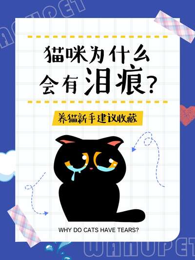 猫咪泪痕原因分析与清除方法：不同颜色的泪痕代表什么