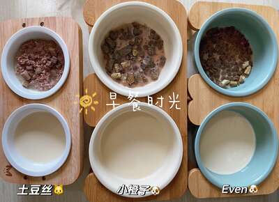 狗粮选购方法论与五款主流粮真实评价：从成分表到性价比的全链路判断
