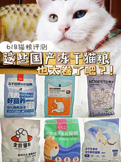 国产冻干猫粮大比拼：6款新品谁才是性价比之王