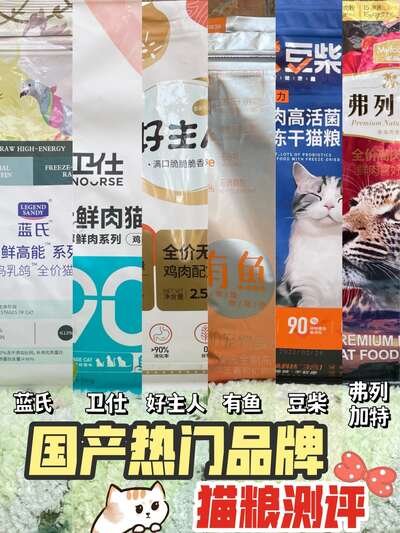 2026国产猫粮深度评测：6款热门品牌真实对比