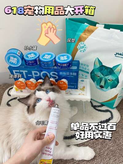 单价不过百的宠物好物：8件养猫5年回购清单，每件都实用