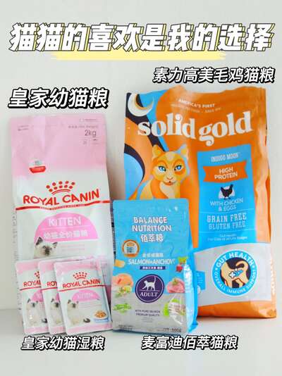 幼猫猫粮选购指南：0-12月龄的分阶段选粮攻略
