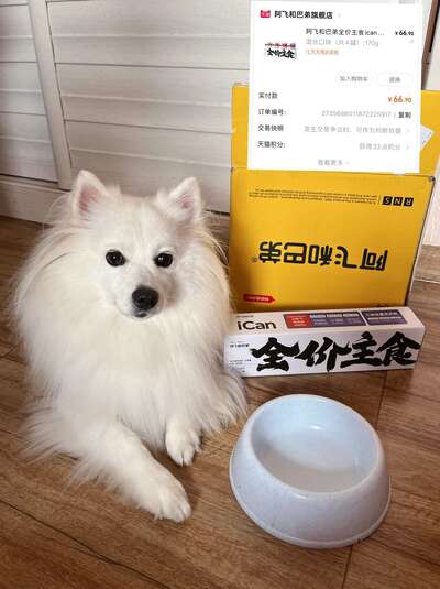 宠物罐头怎么选才不踩坑？德国迈仕格与国产iCan犬罐深度对比