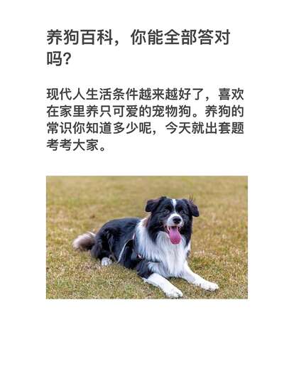 养狗百科知识问答10题：你能全答对吗从寿命到饮食到训练测试你的养狗水平