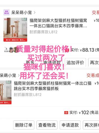 猫爬架和猫窝怎么选：多猫家庭的真实踩坑经验