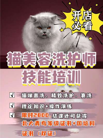 宠物美容行业入行指南：从零开始开一家宠物洗护店