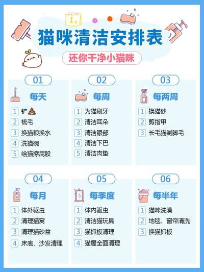 猫咪清洁全攻略：从每天的铲屎到每月的驱虫，一张表全搞定
