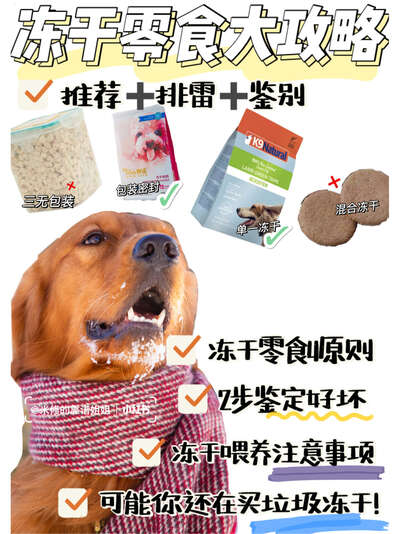 冻干零食怎么选？一份让狗吃得放心、主人买得明白的完整攻略