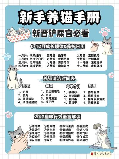 养猫全周期手册：从成长日历到行为语言，一张表看懂猫的一生