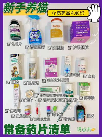 养猫常备药品清单：从外用到内服的省钱平替方案