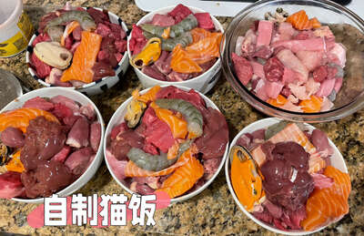 自制猫饭完整教程：营养均衡配方与分装保存全方案