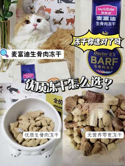 麦富迪BARF生骨肉冻干值得入手吗？95%含肉量实测复水吸收率全解析