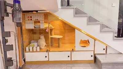 楼梯下空间利用：打造猫咪专属的多功能活动区