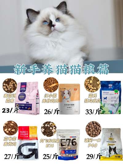 新手养猫选粮指南：为什么麦富迪霸弗成了我回购最多的猫粮