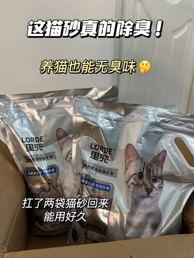 猫砂选购终极指南：6种猫砂全类型对比与除臭方案