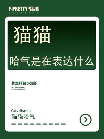 猫咪哈气是什么意思：6种常见触发场景与应对方法