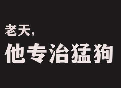 亲测有效训狗教练推荐：从基础服从到行为矫正的完整训练方案分享