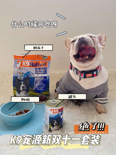 法斗饲养全攻略：最萌的短鼻犬到底有多难养