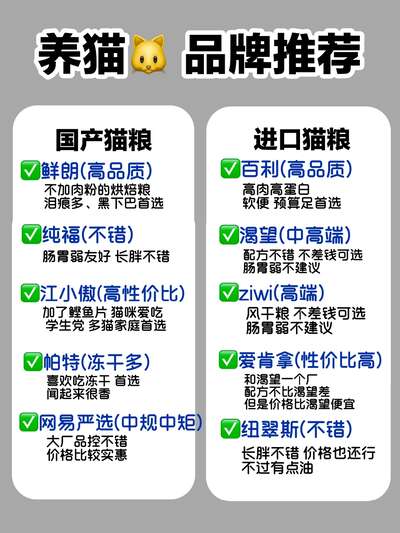 猫咪清洁用品全攻略：从猫砂到牙刷，一篇搞懂