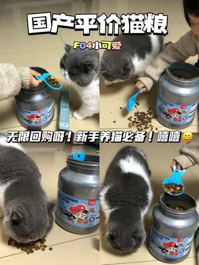 国产宠物食品品牌崛起：从代工到自主的进化之路