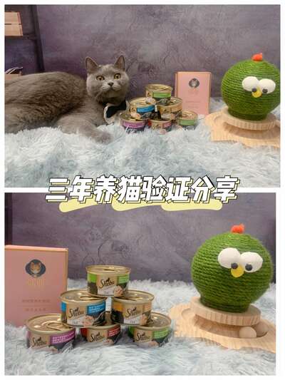 猫奴年度好物盘点：猫罐头、猫抓板、益生菌，买过的才敢推