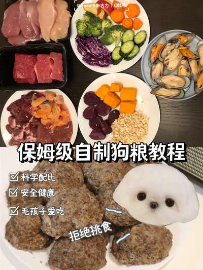 保姆级自制狗粮教程：食材配比、制作步骤与保存方法全搞定
