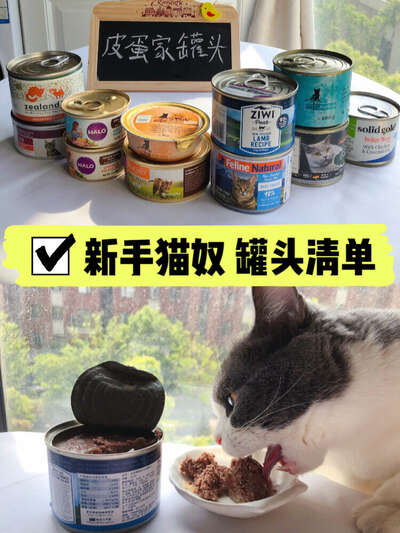 进口猫罐头怎么选：5款五星主食罐实测与避坑指南
