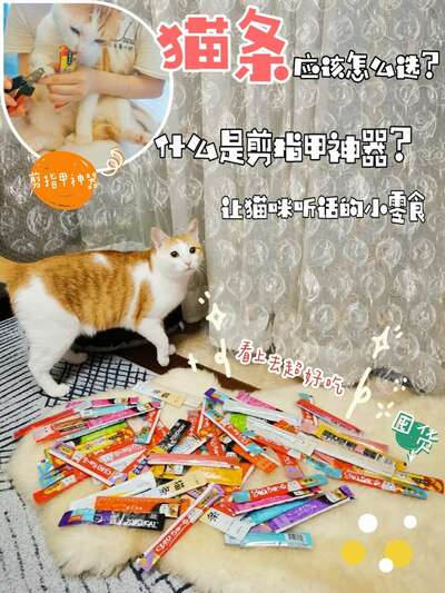 猫条怎么选？5款热门猫条成分对比，含诱食剂的直接拉黑