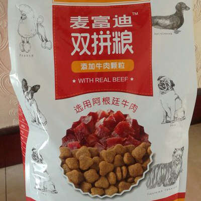 拉布拉多饲养全攻略：吃得多人也暖的大块头