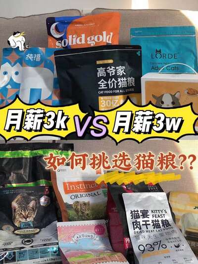 平价猫粮怎么挑不踩雷？月入3K到1W选粮思路全攻略