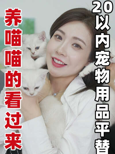 10款贵价宠物用品平替清单：从猫砂盆到饮水机，省下的钱够买半年猫粮