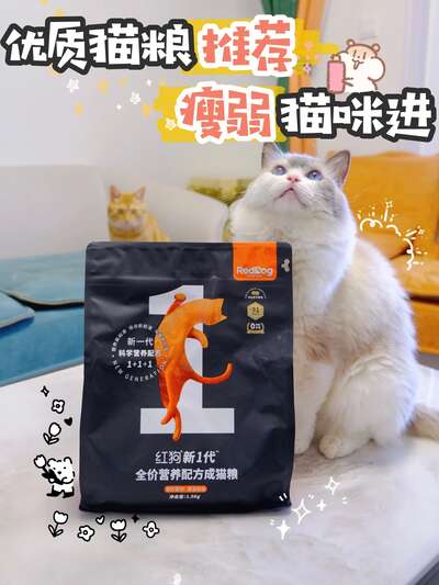 猫咪不长肉怎么办？5款高营养猫粮实测推荐